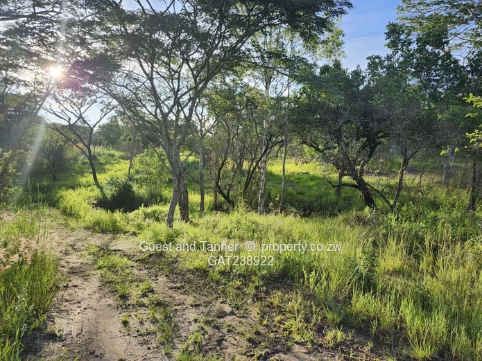 Ruwa Agro-Residential 1.64 Hectare Plot