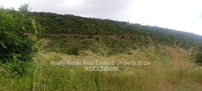 1.3ha Norton Hillside , Accessible