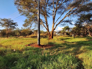 Stands & Residential Land