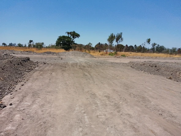 Stands & Residential Land