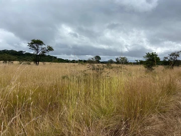 Farm & Agricultural Land