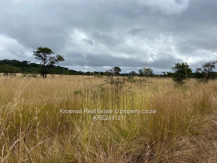 Plot For Sale