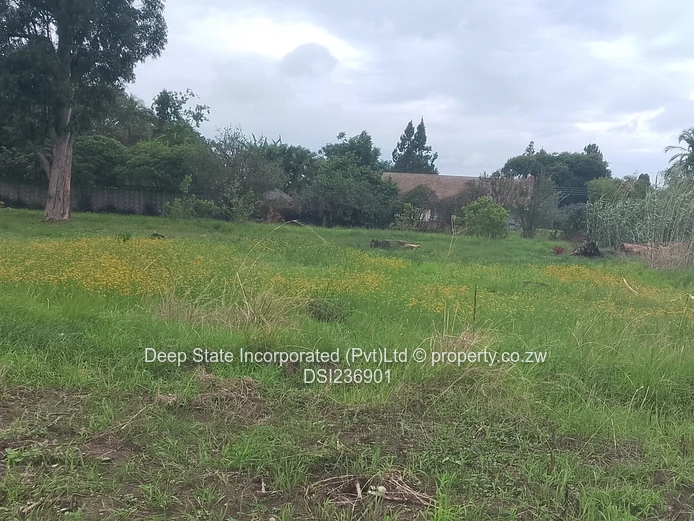 Marlborough stand for sale 