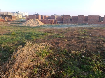 Stands & Residential Land
