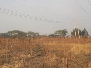 Commercial & Industrial Land
