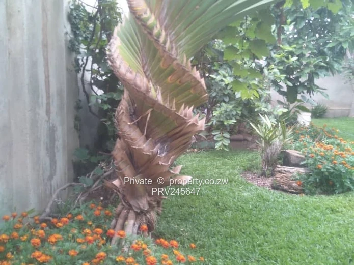 Modern 4-bed turnkey home on large 1,150m² stand near Sunway City. Full solar, borehole, jacuzzi, el (Sole Mandate)