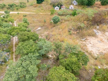 Farm & Agricultural Land