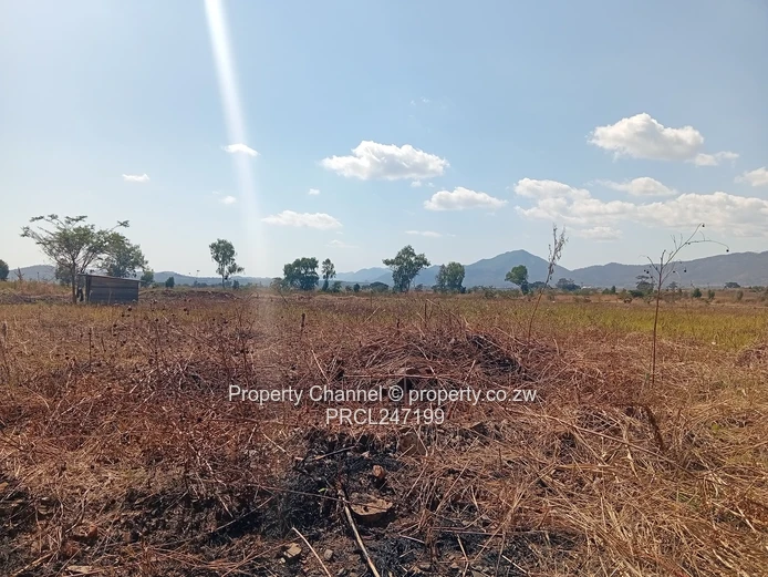 Mazowe 1000m² Stand – Main Road Frontage & Hill Views
