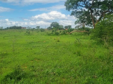 Farm & Agricultural Land