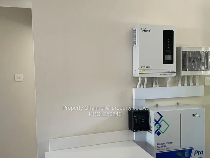 One bedroom apartments for rent