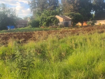 Stands & Residential Land