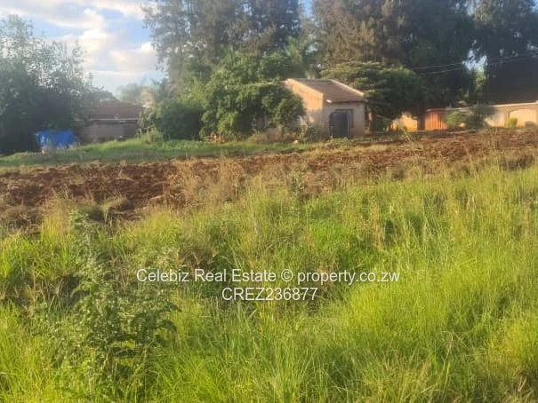 Mt Pleasant Heights cottage for sale 