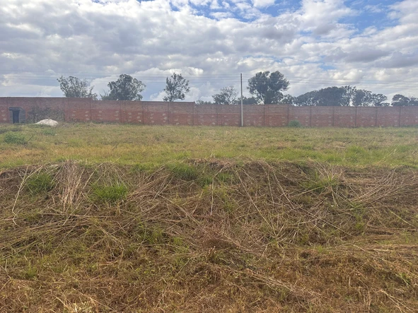 Stands & Residential Land