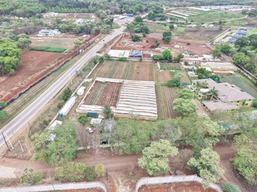 Stands & Residential Land