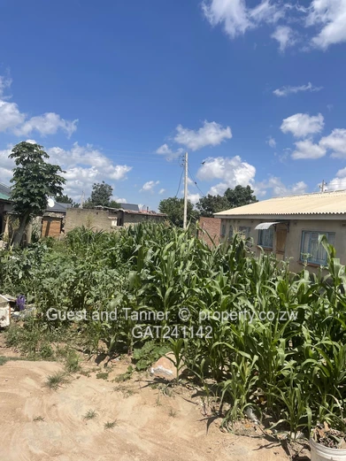 Stand For Sale – Southlea Park