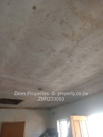 Investment Opportunity In Budiriro 5 B