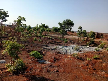 Stands & Residential Land