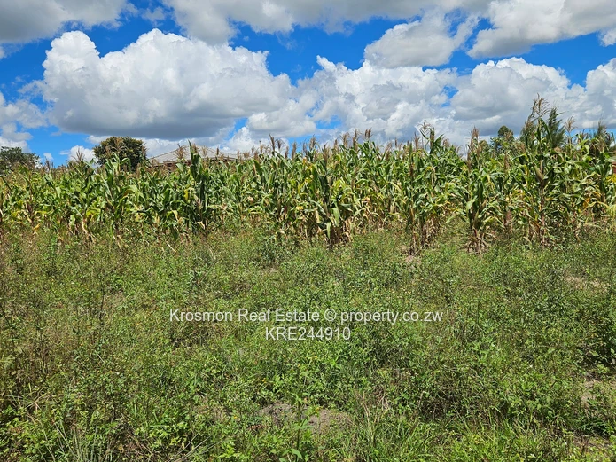 3,097m² Marondera: Main Road Frontage, Subdivisible