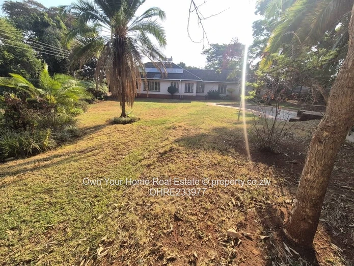 Golden Oldie in Mandara 