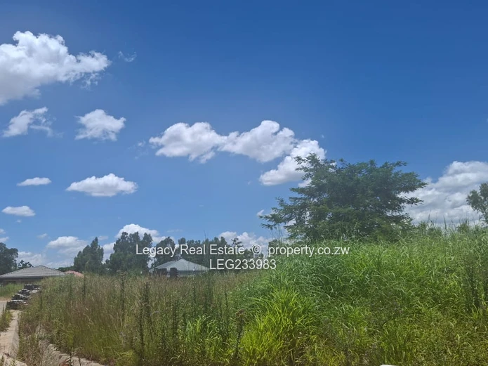  Ready to Build Stand in Cold Comfort. 