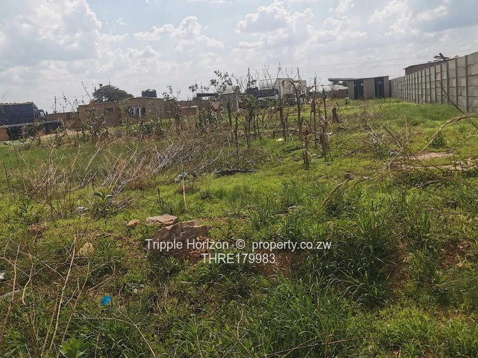 Walled 1,200 m² Commercial Plot — Damofalls Main Rd