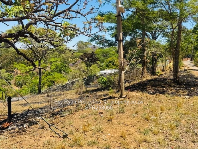 Helensvale Stand For Sale 