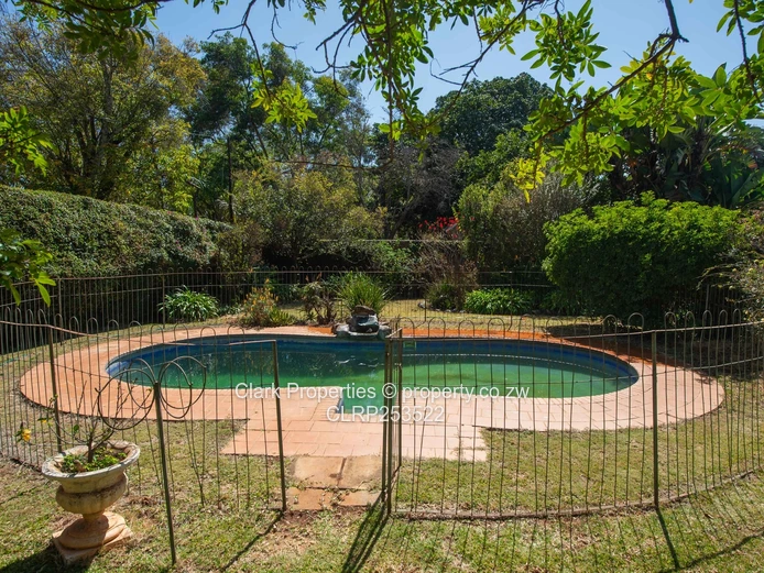Renovator’s Dream!