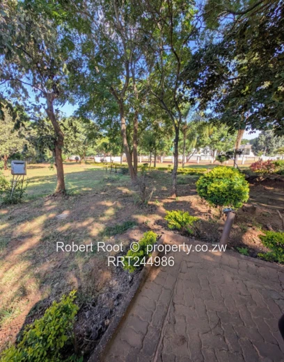 Greystone Park Stands For Sale 