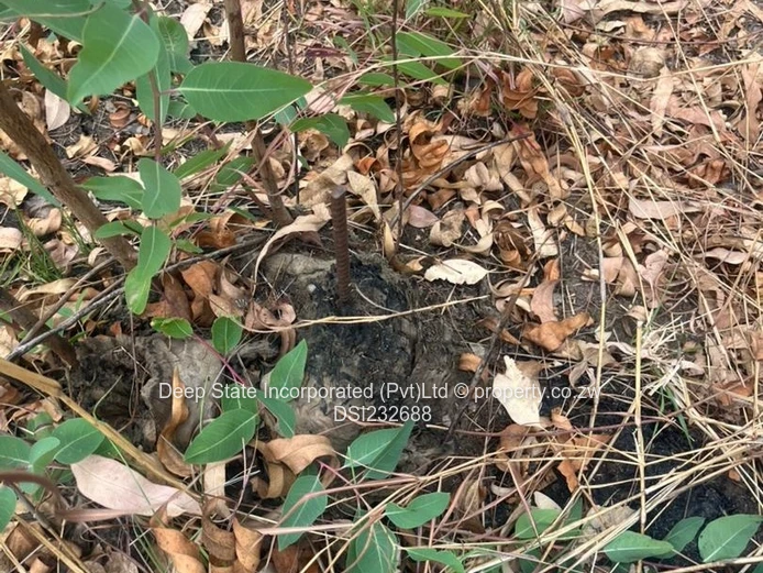 Cold comfort stand for sale (Gated community) 