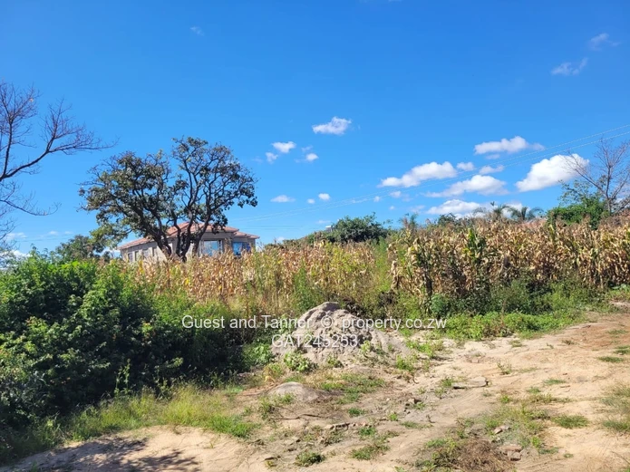 Stand For Sale  In Crowhill