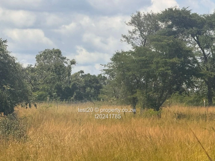 Doornfontein 1ha Agro Plot  — Gravel Access, Arable Soil & Grazing