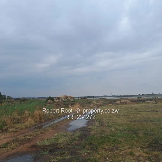 Close to Kirkman Drive (Sole Mandate)