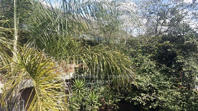 Unique Investment Opportunity!!!