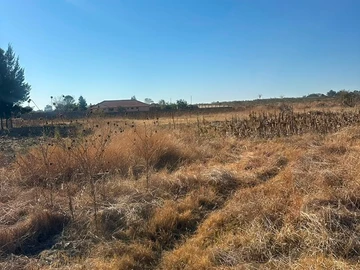 Stands & Residential Land