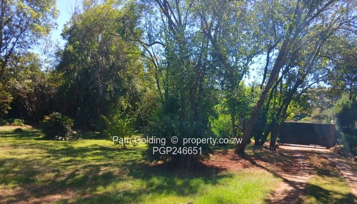 4 Bedroom Home For Rent Vainona (Sole Mandate)