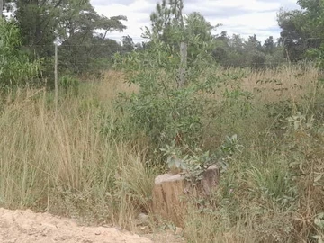 Farm & Agricultural Land