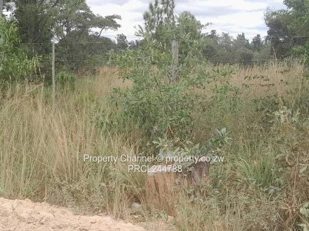 Prime Flat Agro Plot – Ideal for Farming, dwelling & Investment