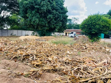 Stands & Residential Land