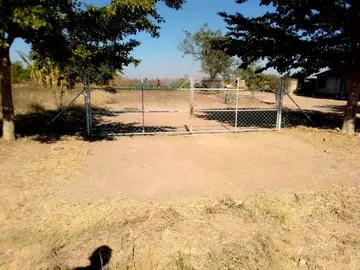Farm & Agricultural Land