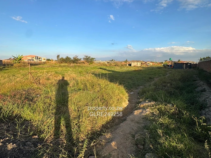 Haydon Park 4,449m² Open Stand — Gravel Access, Development Ready