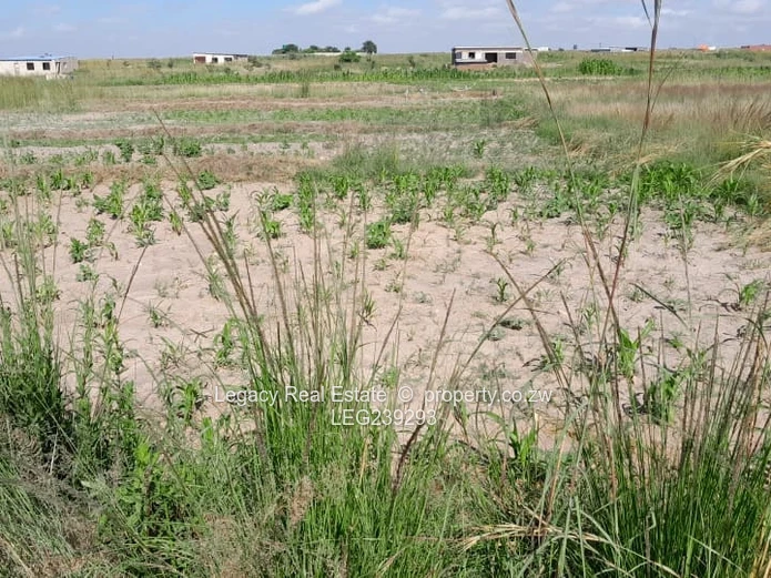 1,200SQM Stand For Sale in Invelengus Ruwa Opposite Damofalls.