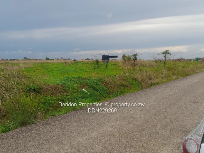 Build your dream home 