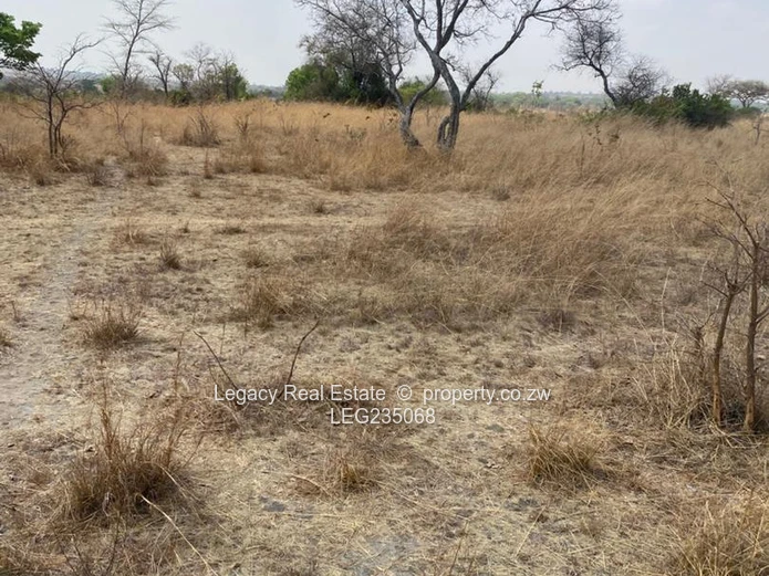 10 Hectares for Sale – Fertile Land with Stream | Flexible Terms