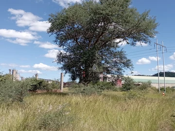 Commercial & Industrial Land