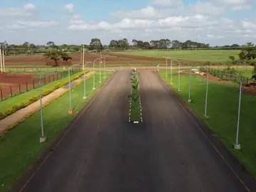 Stands & Residential Land