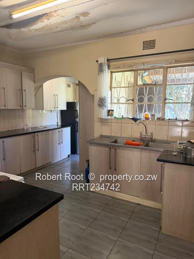 4BR Marlborough Home on 4000m² — Pool & Garden
