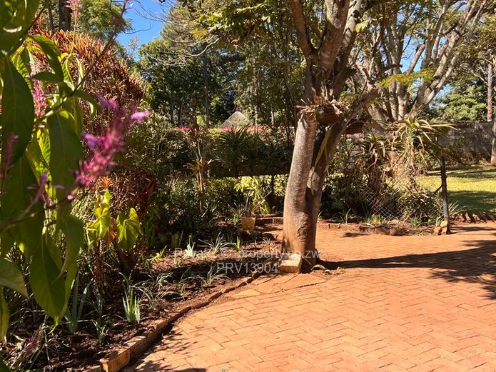 Beautiful 2 bed Duplex garden Flat 