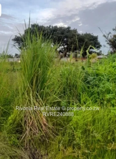 Ideal for immaculate residential house