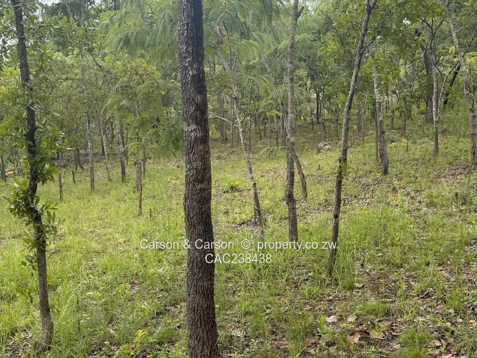 Vacant residential stand for sale in Umwinsidale 