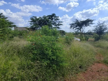 Commercial & Industrial Land